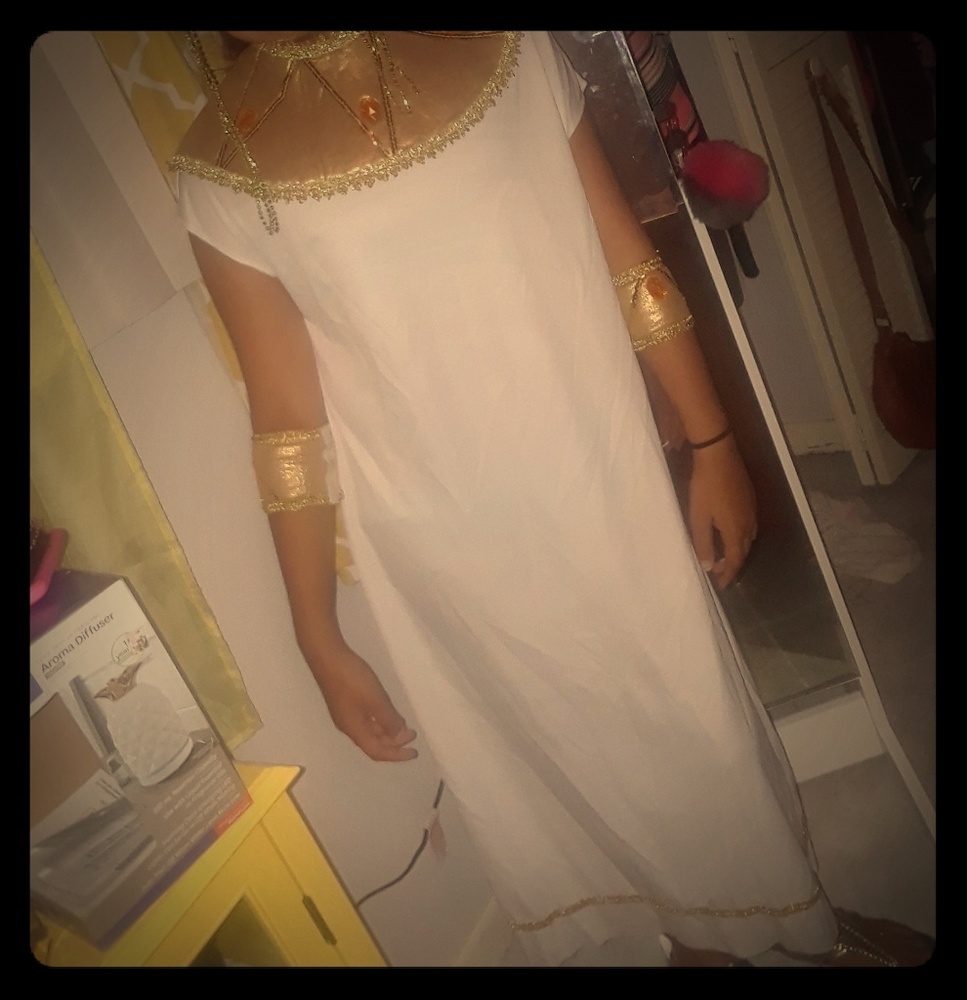 Vintage Cleopatra costume worn 1x EUC XL 12/14